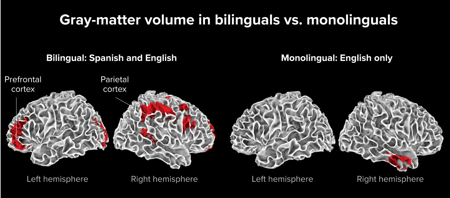 Benefits to brain with second language